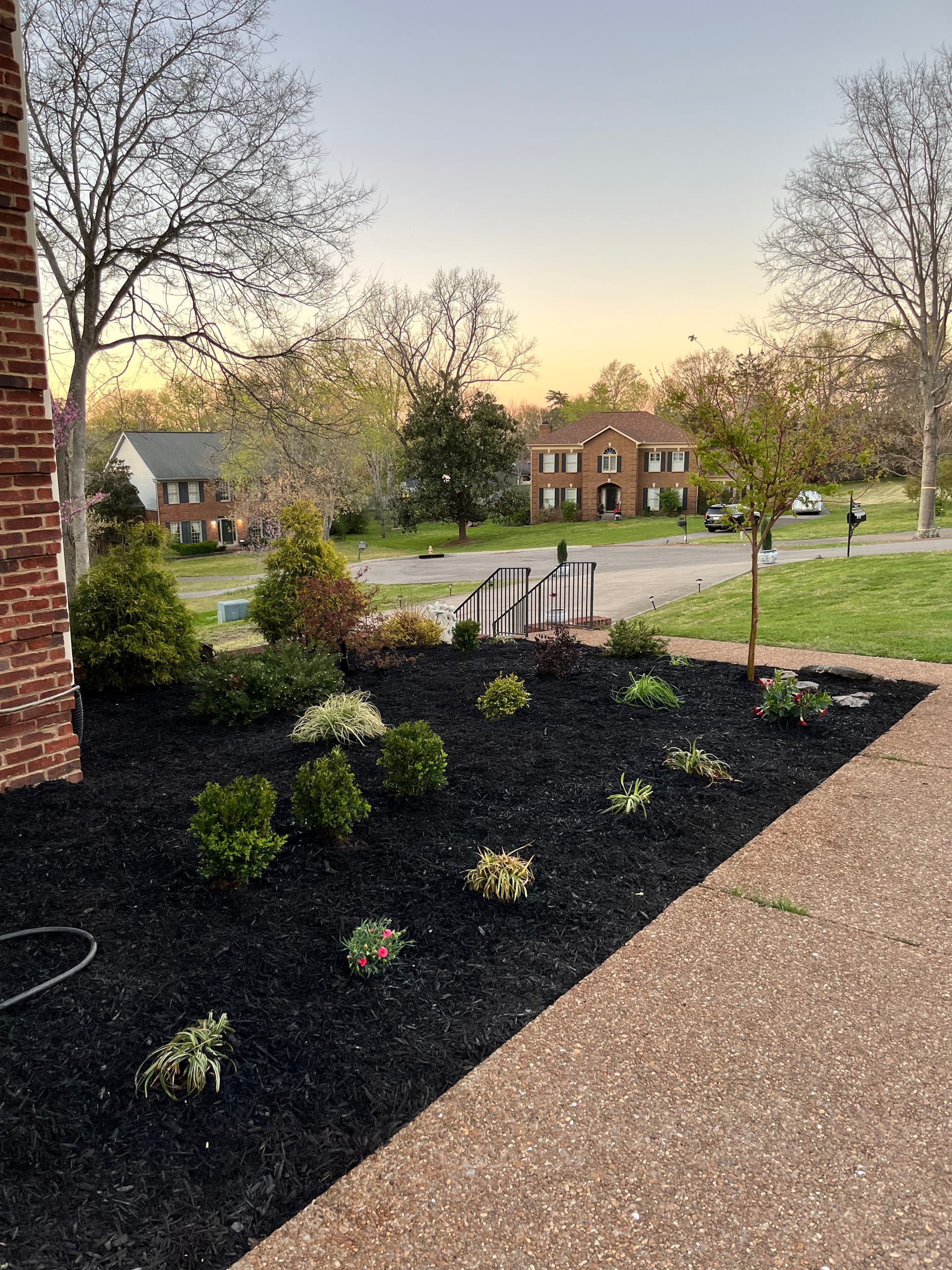 Fresh Landscaping Makeover in Beautiful Residential Area image