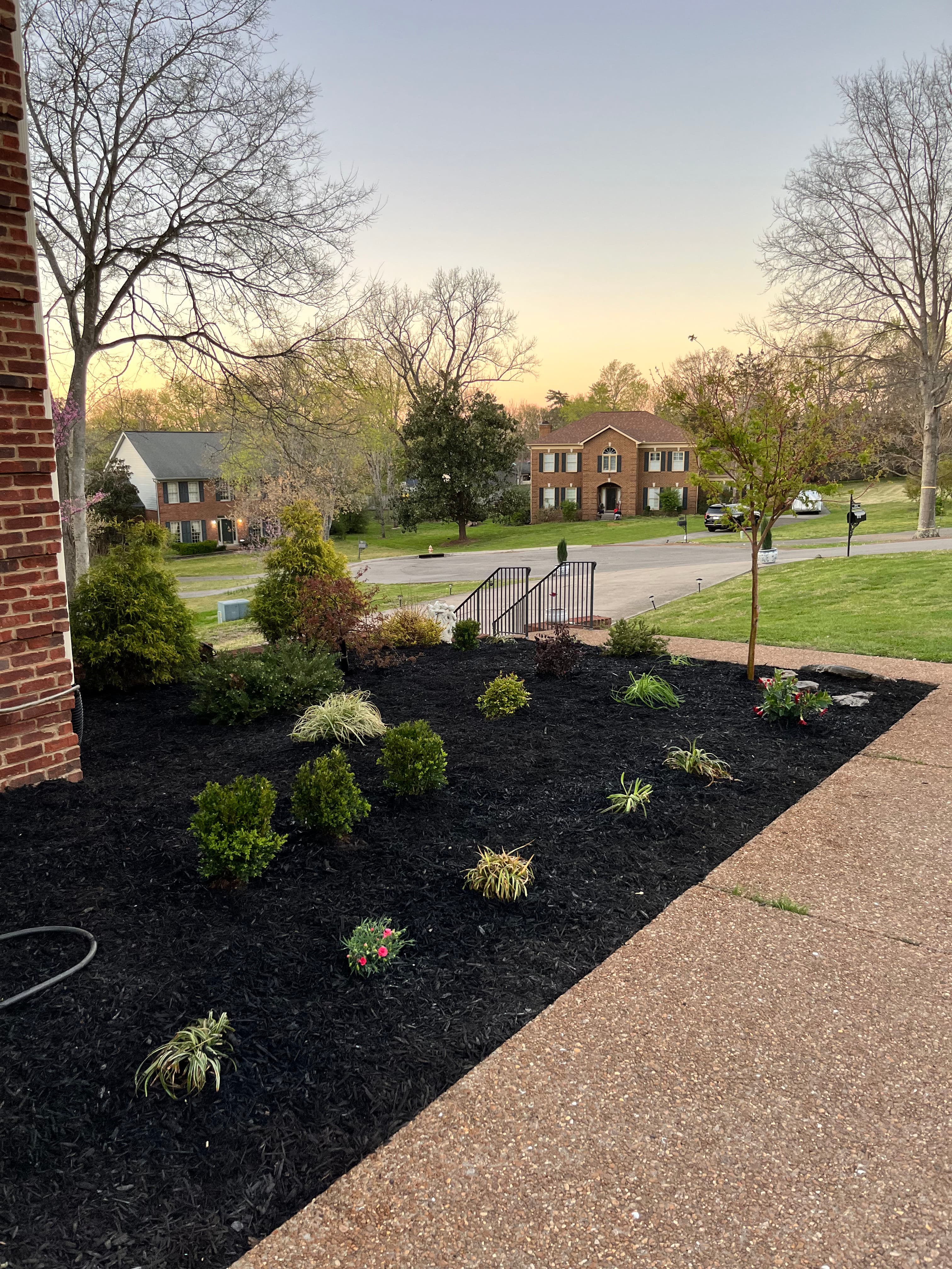 Project Fresh Landscaping Makeover in Beautiful Residential Area image