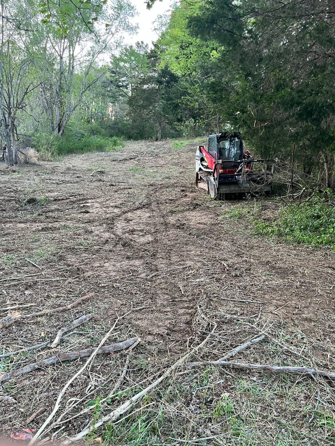 Cleared forest area with a red forestry machine for land management and maintenance.