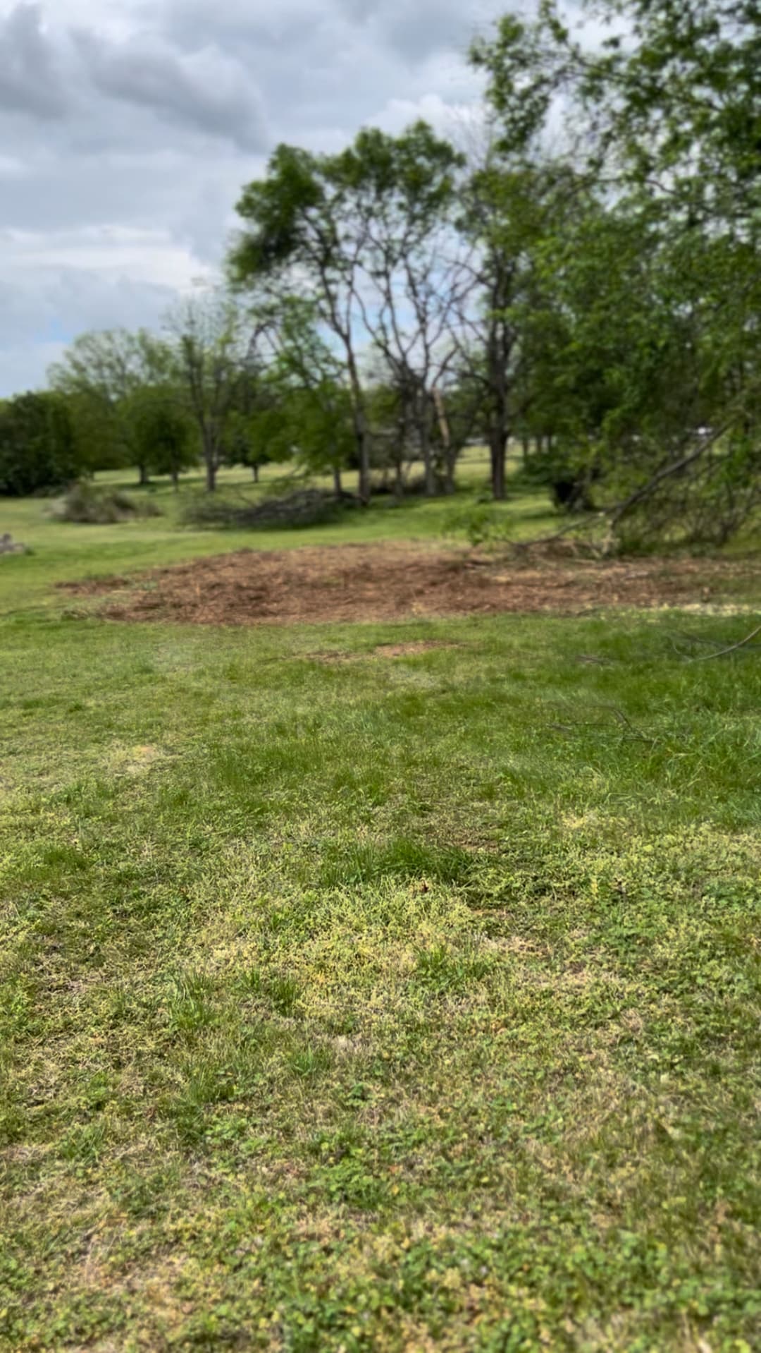 Lush green landscape with trees and a cleared patch of earth under a cloudy sky.
