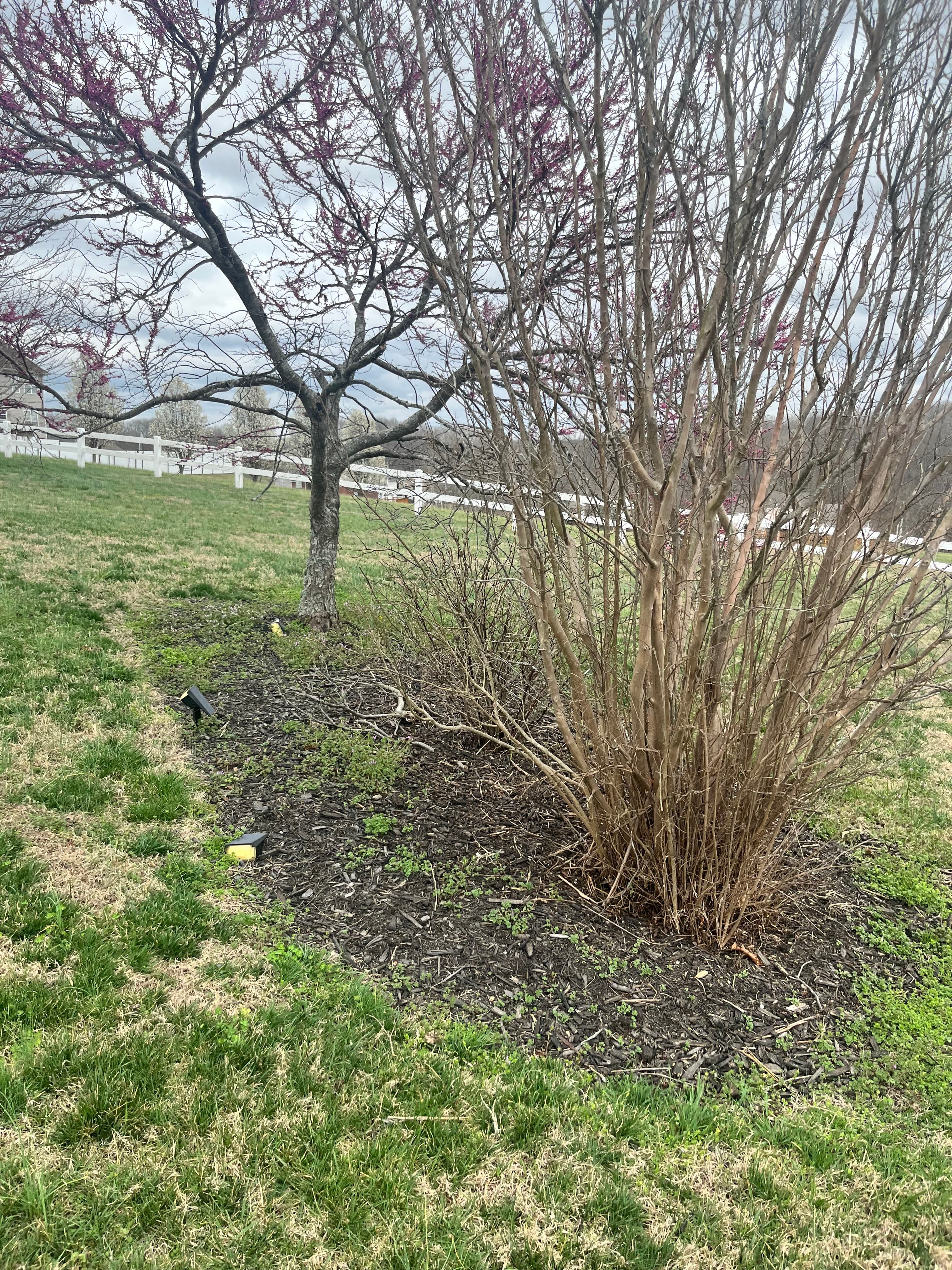 Project Stone Border Installation for a Fresh Garden Look image
