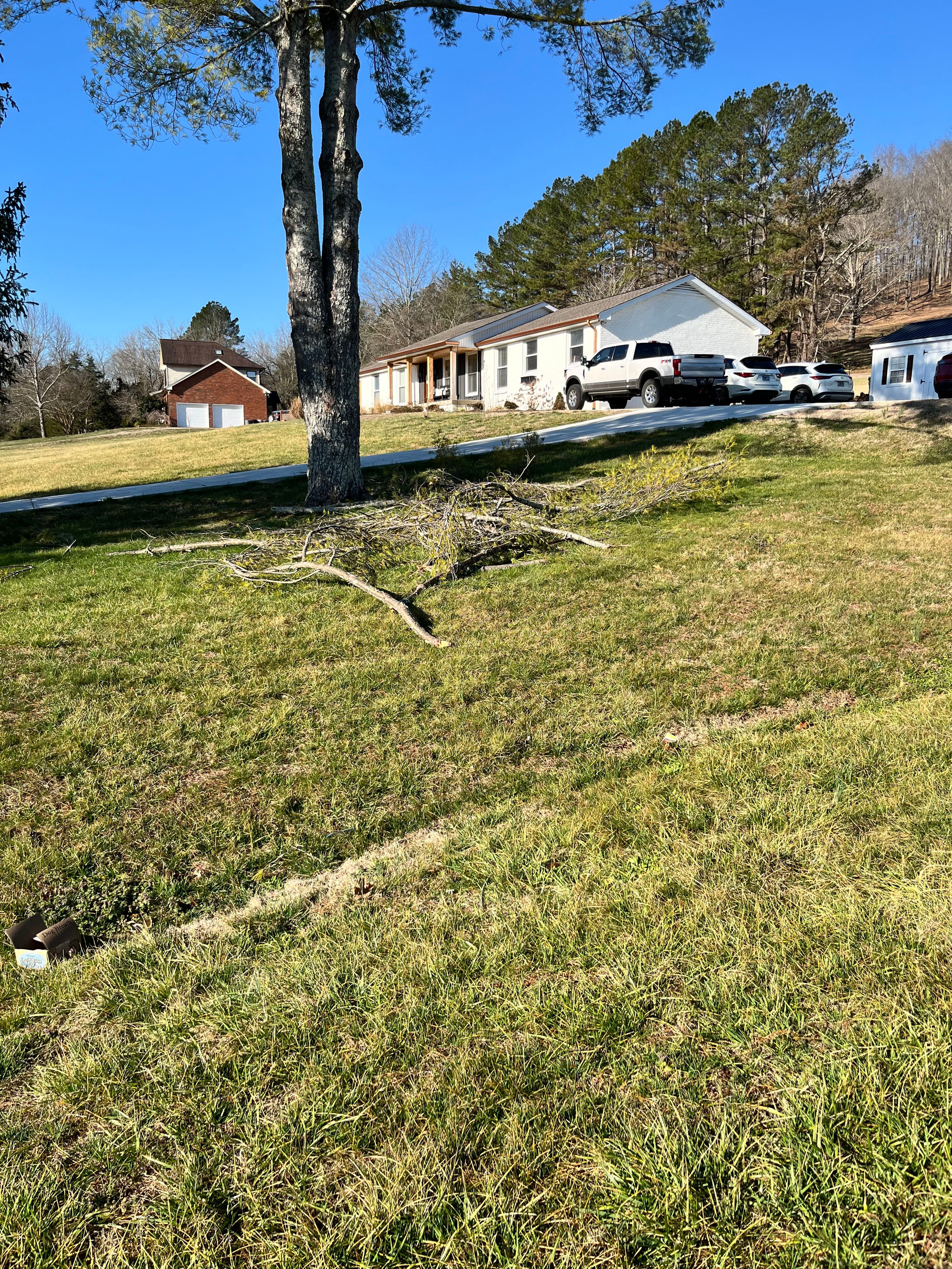 Project Storm Debris Cleanup Restores Your Property's Beauty image