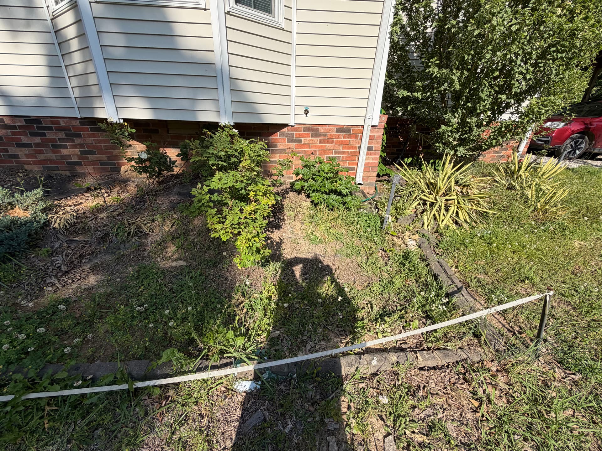 Gallery photos for Fresh Mulch Install Brings This Dickson Property Back to Life: Image #3