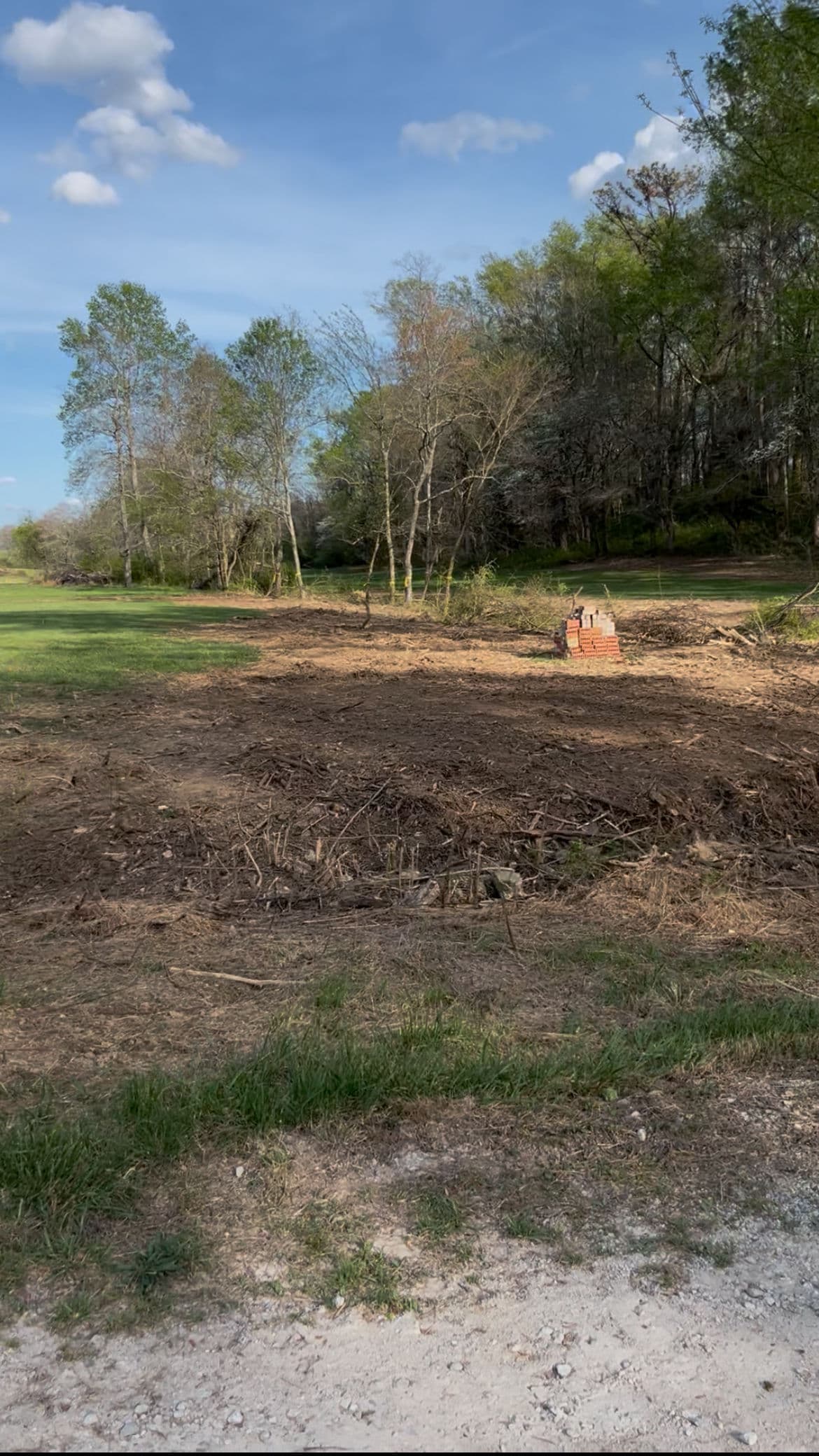 Project Land Clearing in Progress - Here's How the Work Gets Done image