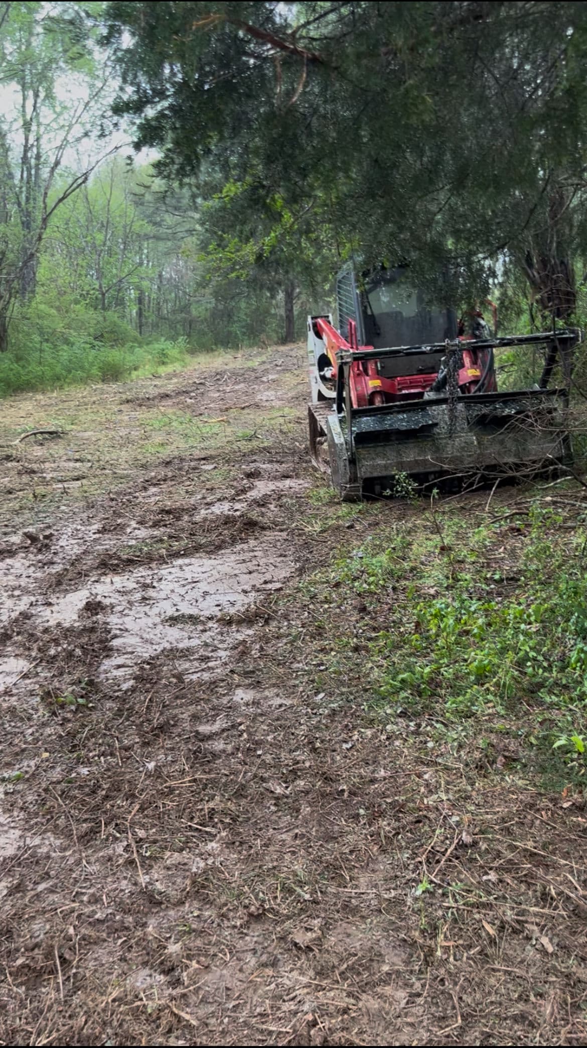 Gallery photos for Land Clearing in Progress - Here's How the Work Gets Done: Image #3