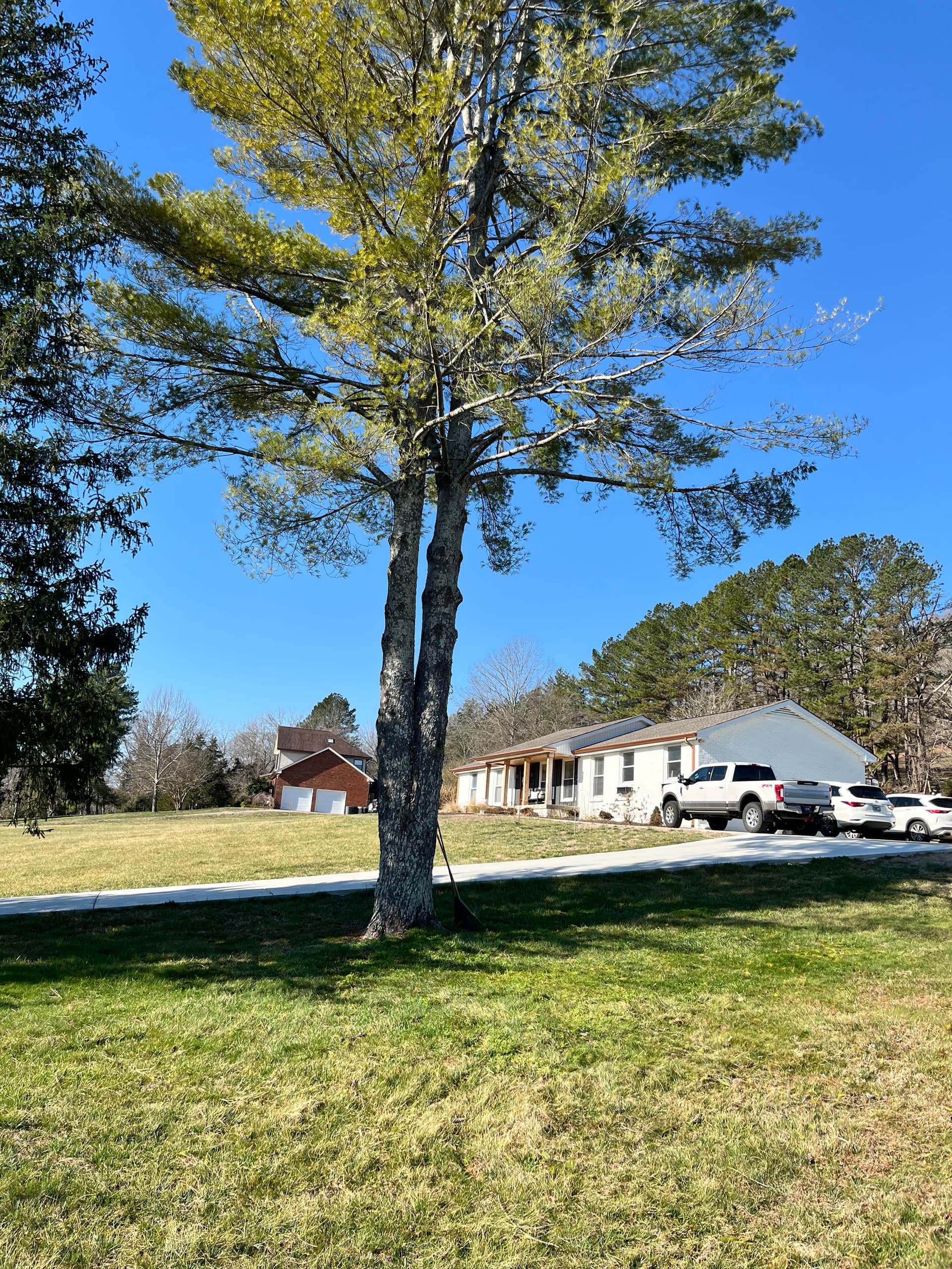 Storm Debris Cleanup Restores Your Property's Beauty