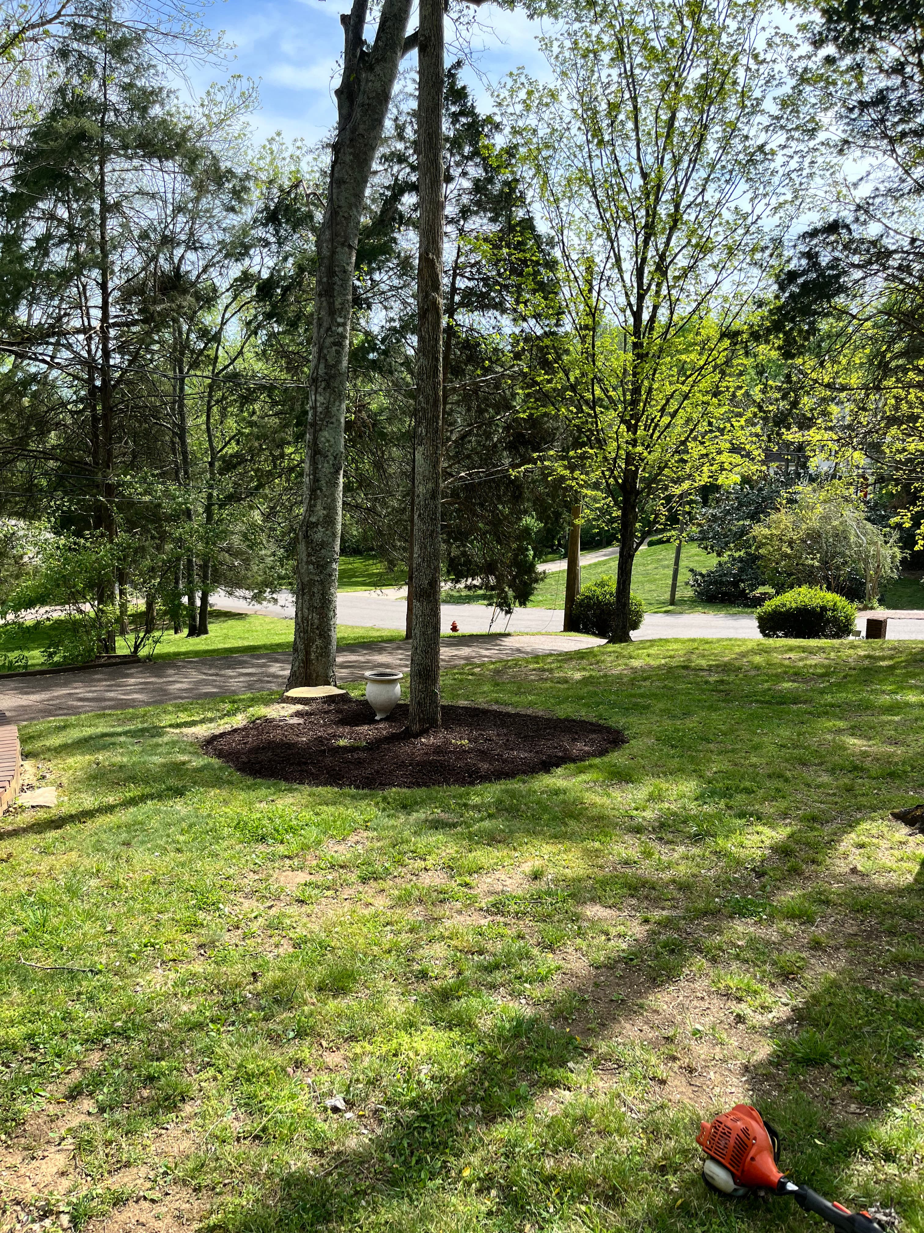 Project Full-Property Landscaping at Traditions - Mulch, Edges and More image