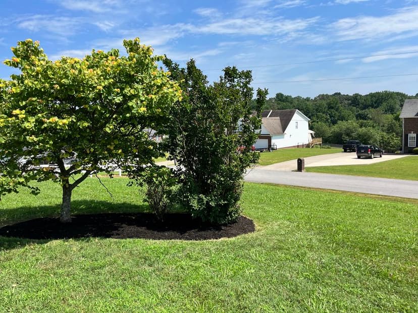 Community Commitment's image