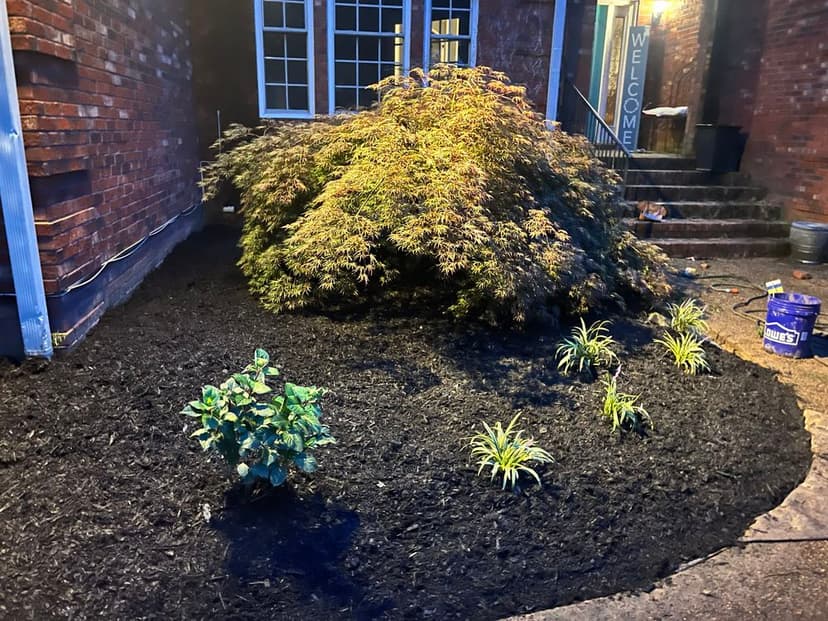 Five-Star Customer Experience's image