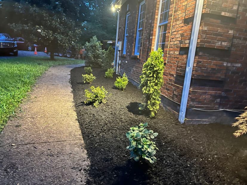 Expert Precision with AI Design's image