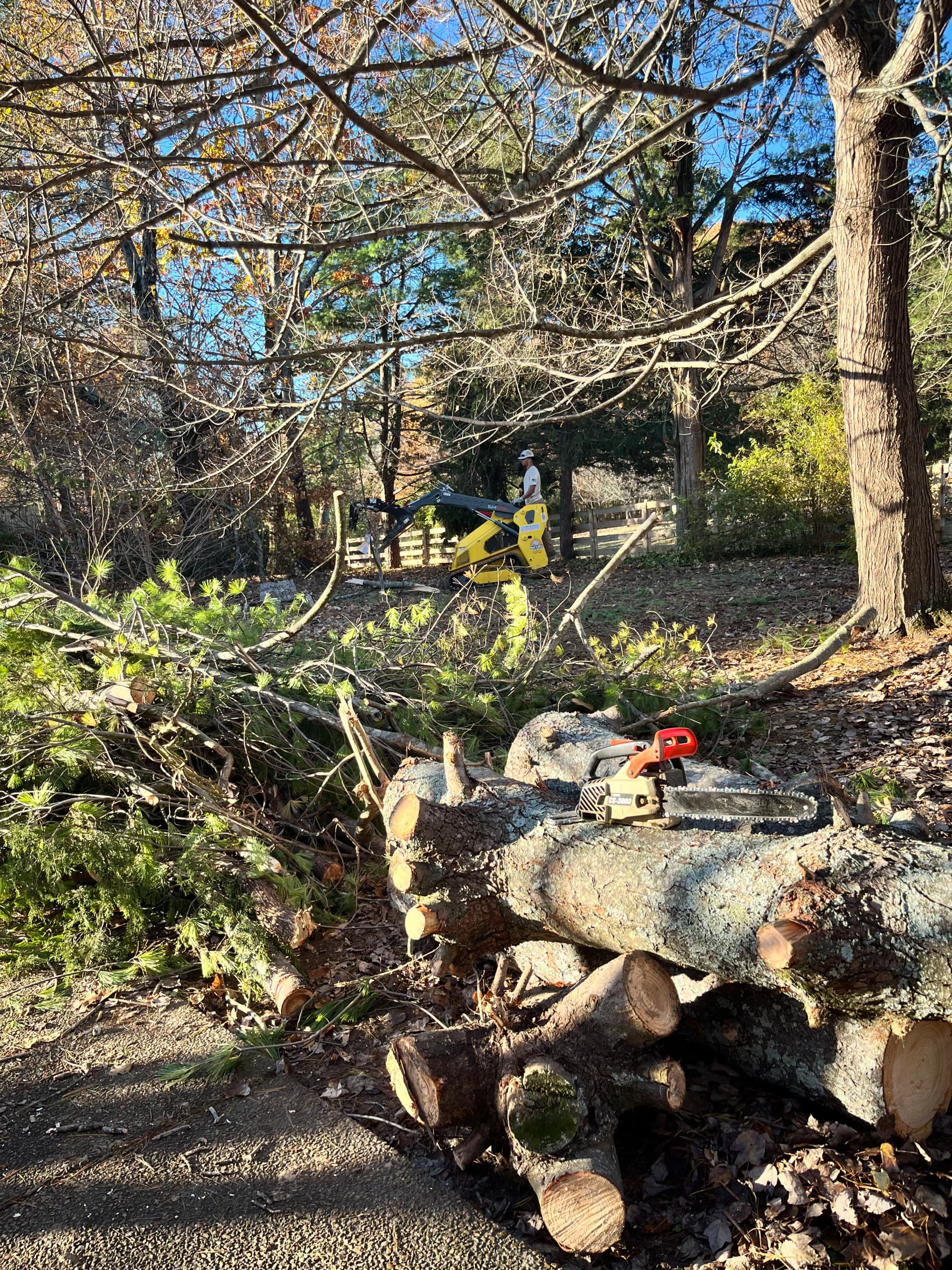 Gallery photos for Storm Cleanup Done Right in Dickson TN: Image #1