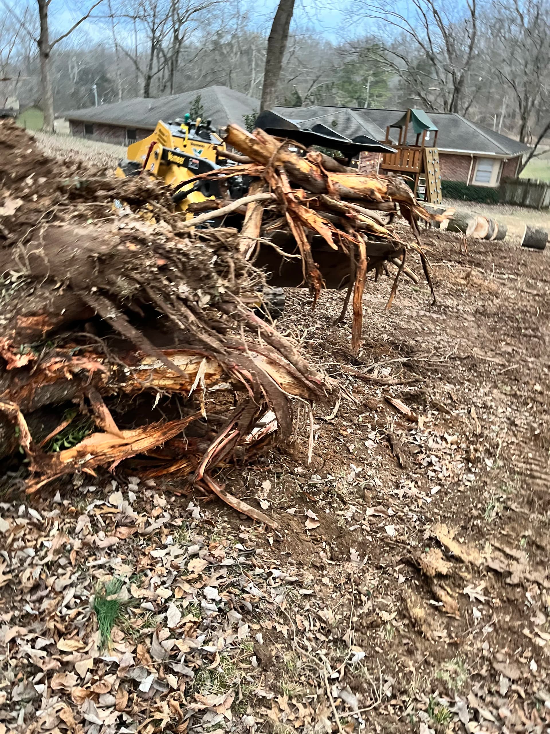 Gallery photos for Storm Cleanup Done Right - Fallen Trees and Roots Gone: Image #1
